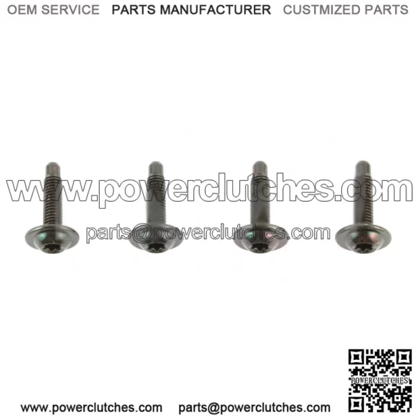 Tailgate Spoiler Molding Mounting Screws for 2007-2013 Silverado Sierra (For: More Than One Vehicle)