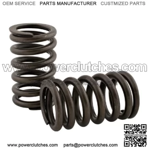 R-3900276 Valve Spring Fits AGCO