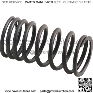 AM31744131 Inner valve spring