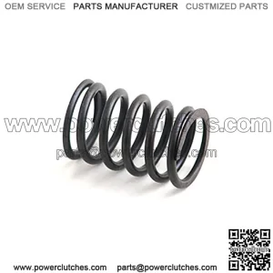 A-31744133-AI Spring, valve internal