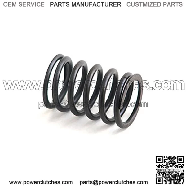 A-31744133-AI Spring, valve internal