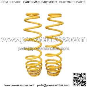 Can Am 2012-2015 Renegade 800 1000 Rear Spring Kit 70600955